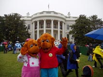 Berenstain Bears